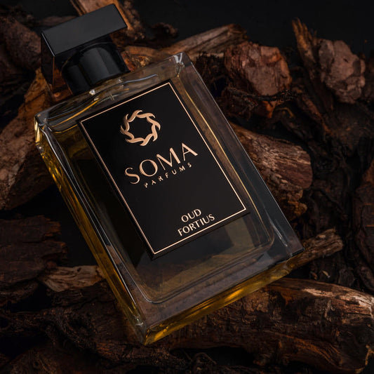 OUD FORTIUS by Soma Parfums EDP